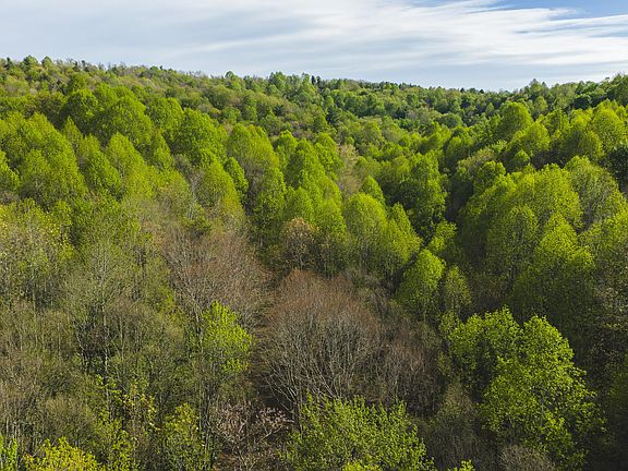 3rd image of Black Ridge Rd SW