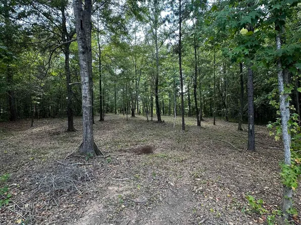 LOT 59 General Jackson Memorial Dr, Sylacauga, AL 35151