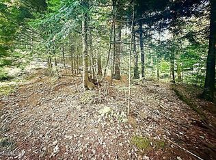 L31 Clarkson Rd, Chestertown, NY 12817