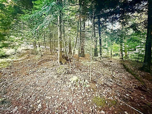 L31 Clarkson Road, Chestertown, NY 12817