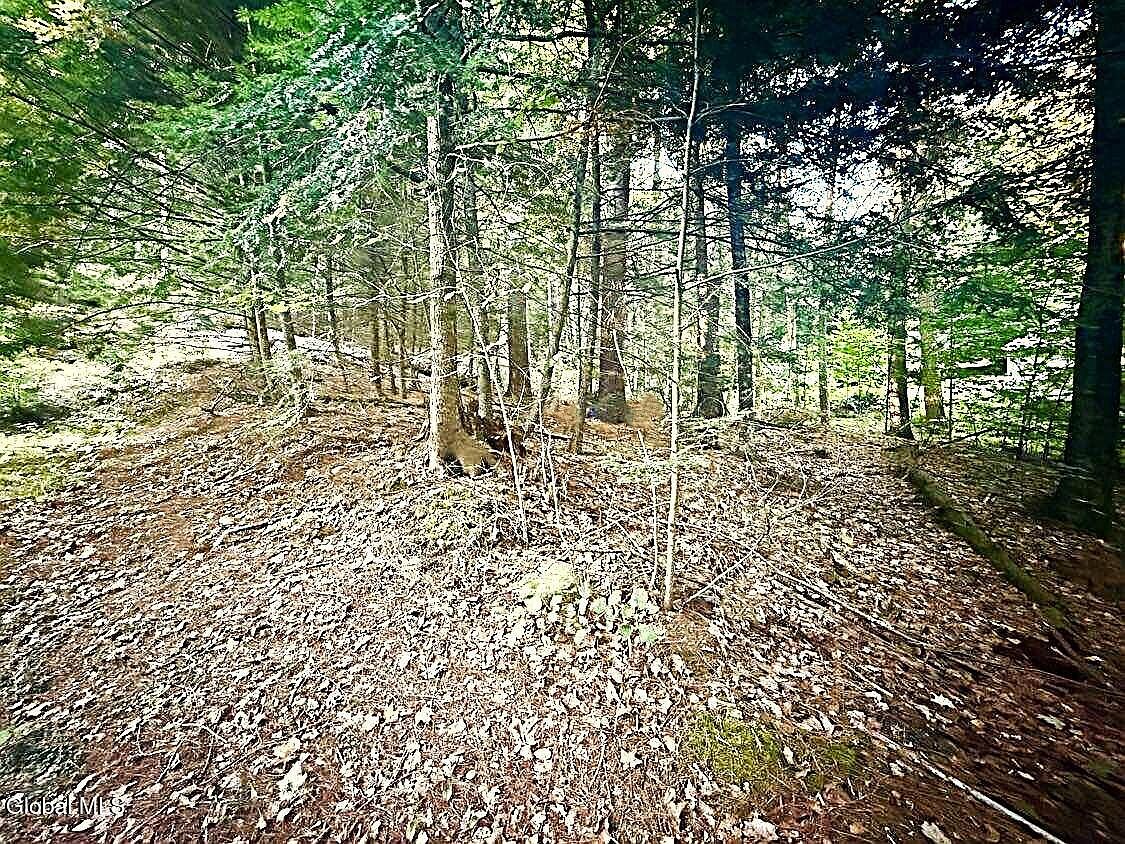 1st image of L31 Clarkson Road