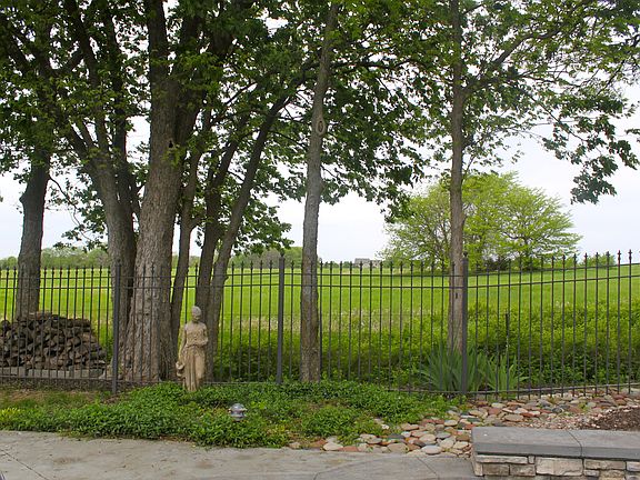 Heavily treed back yard