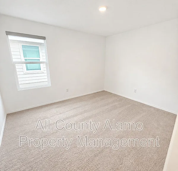9258 Honey Mesquite — Photo 17