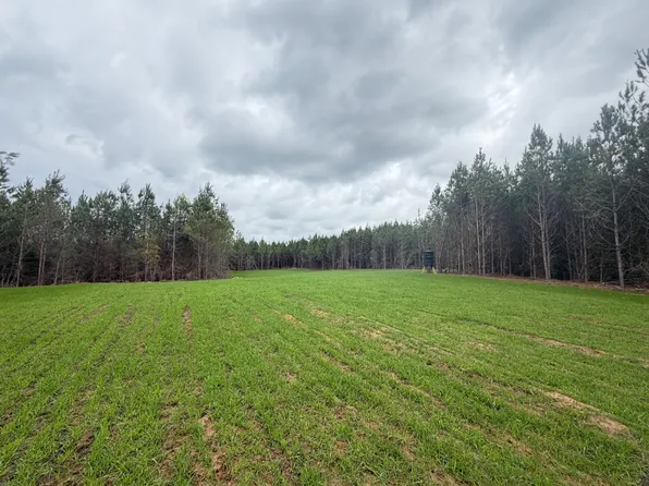 0 Lord Rd, Dozier, AL 36028