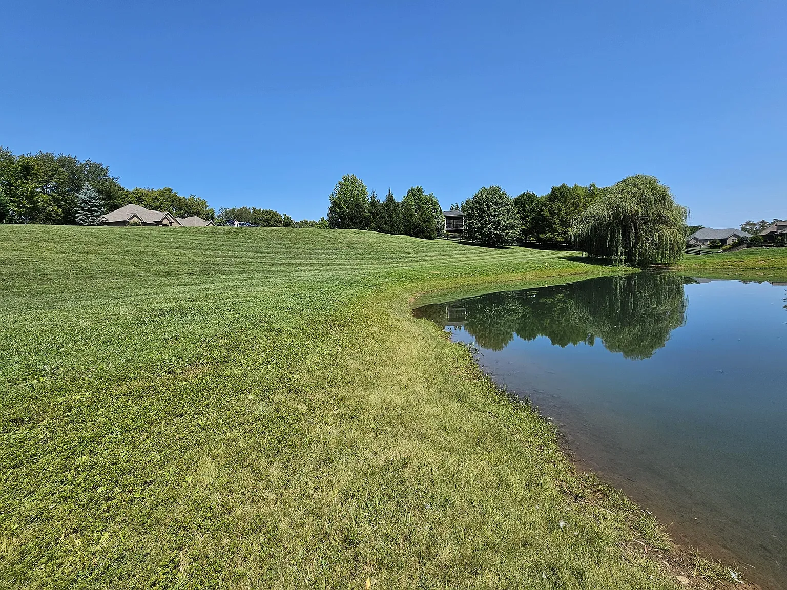 207 Morgan Ct photo 1