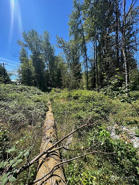 2nd image of 14000 Center Road