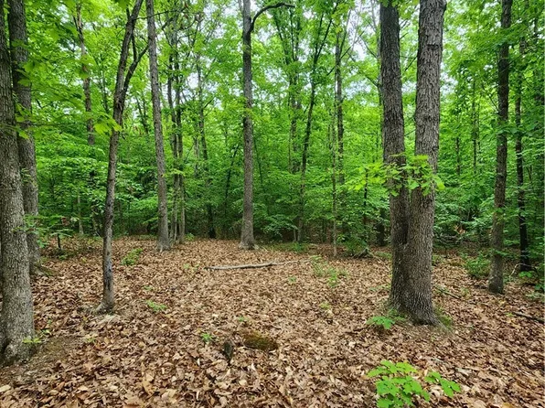 0 Bryants Ford Rd #4, Fork Union, VA 23055