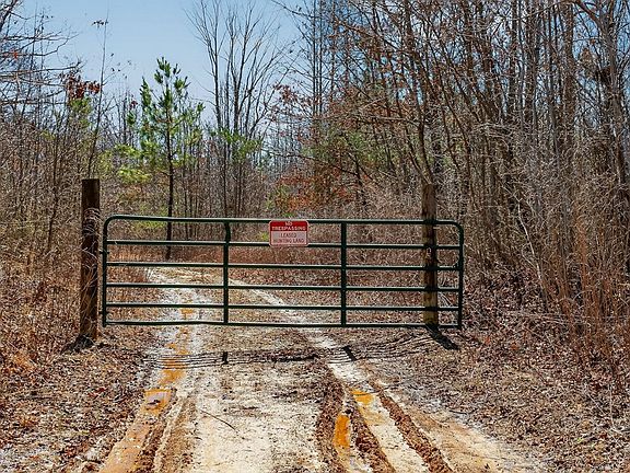 2nd image of 573AC Daus Mountain Rd