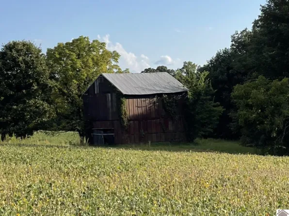 0 State Highway 381, Sedalia, KY 42079