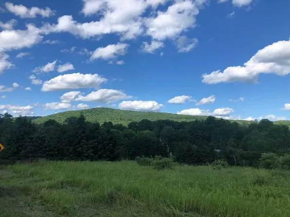 1.1 County Highway 26, Fly Creek, NY 13337