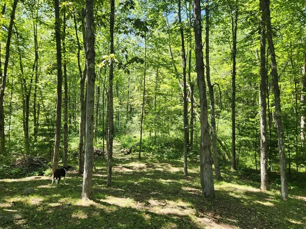 7 Delargy Rd, Hardwick, MA 01037