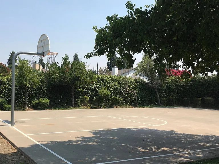 Basketball Court
