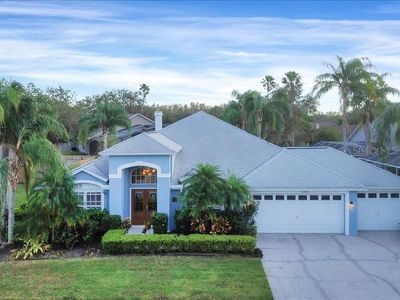 10031 Colonnade Dr, Tampa, FL, 33647