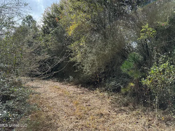 Greenbriar Pl Lot 421, Lumberton, MS 39455