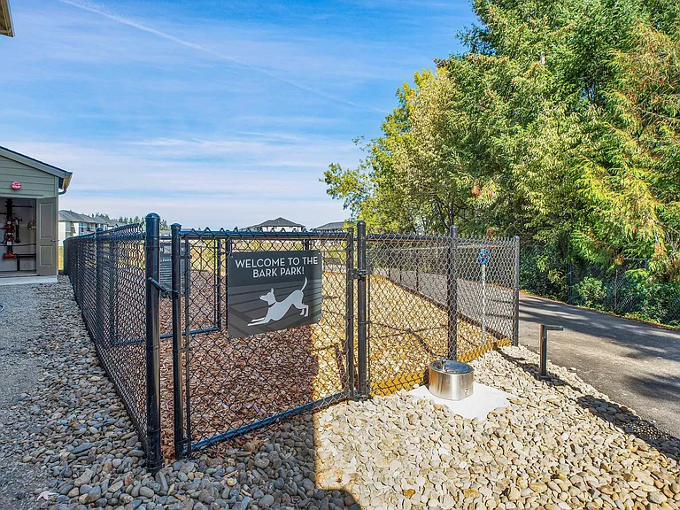 Pet Run for Your Furry Friends