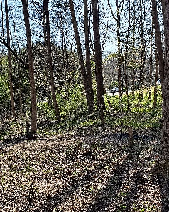 2nd image of 4525 Longworth Dr