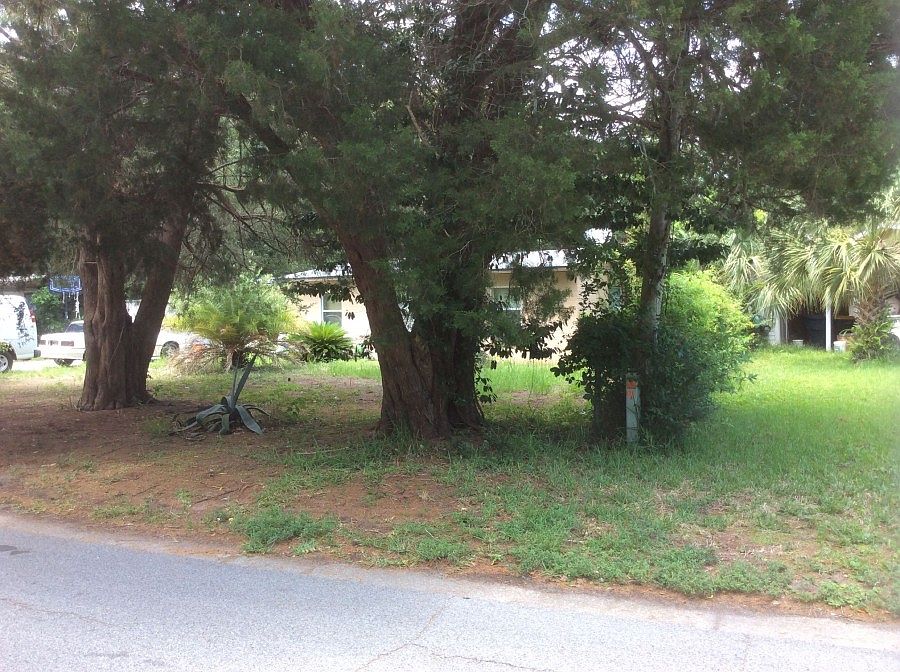 2nd image of 337 Gardner Dr