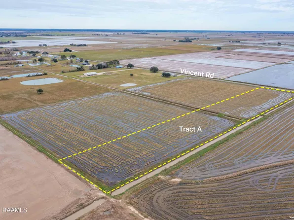 TRACT Vincent Rd #A, Mermentau, LA 70556