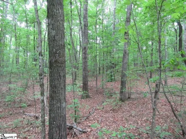 Tracts 34 35 36 Curts Way, Cleveland, SC 29635