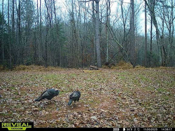 4th image of 0A Wright School Rd