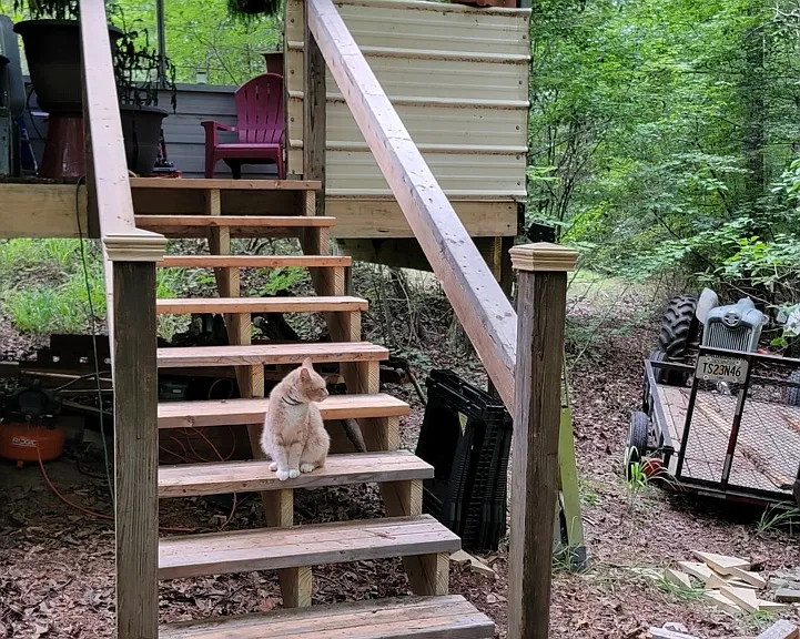 439 Martin Church Rd — Photo 13