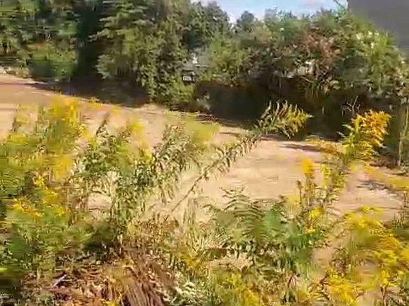 5th image of 3294 Innisfil Beach Rd E