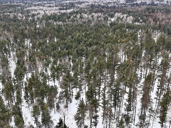 5th image of 4440 W Cherry Creek Rd