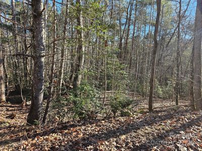0 Roadrunner Cir #109, Lake Lure, NC, 28746