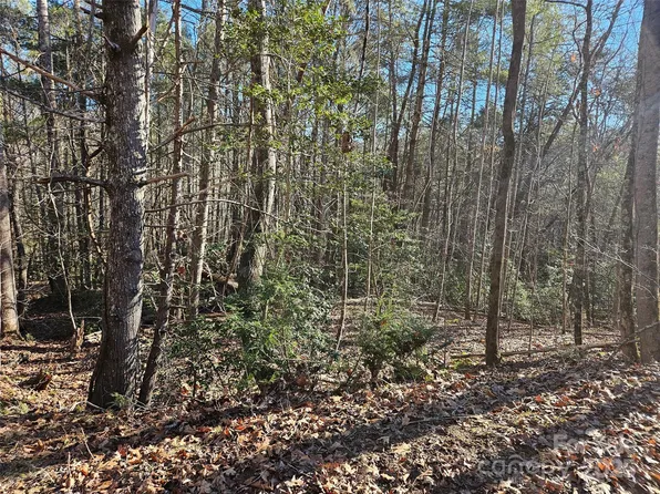 0 Roadrunner Cir #109, Lake Lure, NC 28746