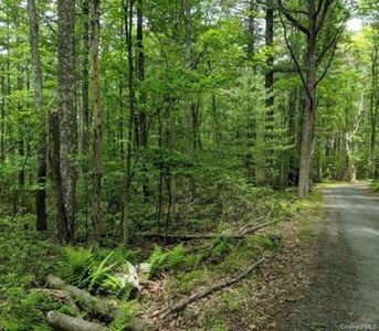01 Allen Road, Wurtsboro, NY, 12790