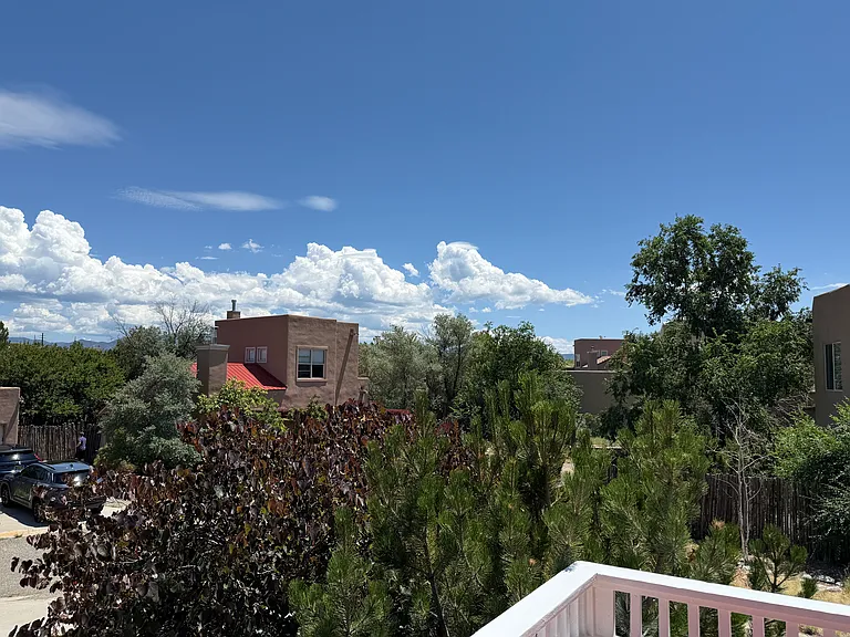 4402 Long Shadow Ln — Photo 10