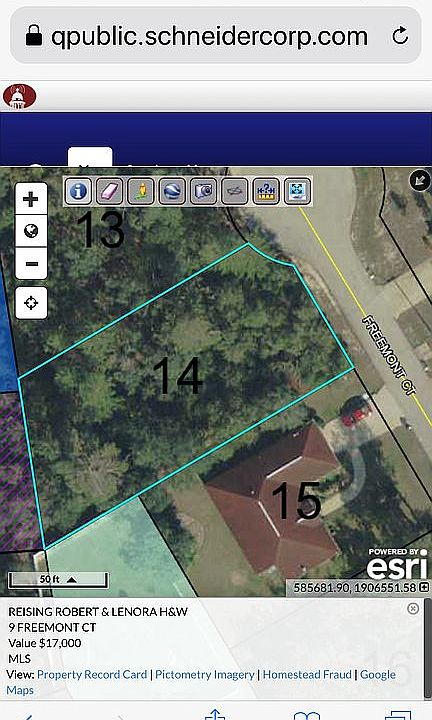Oversized lot!