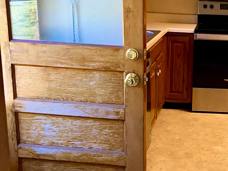 Backdoor to patio
