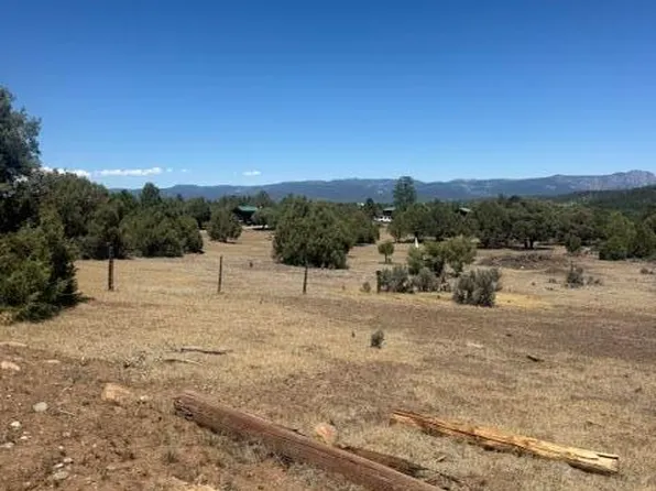 49A Heron P1 49a Private Rd, Tierra Amarilla, NM 87575