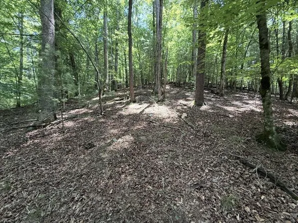 LOT 3469 Fir Ln, Ellijay, GA 30540