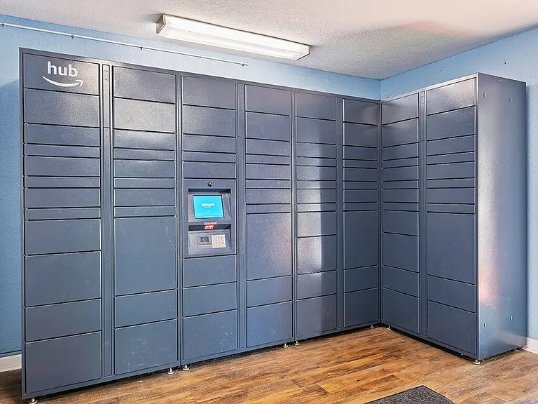 Amazon Hub Package Delivery