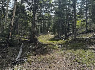 6651 Alexandra Rd #6651, Fort Garland, CO 81133