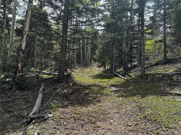 6651 Alexandra Road LOT 6651, Fort Garland, CO 81133