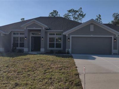 16031 Scaup Duck Ave, Weeki Wachee, FL, 34614