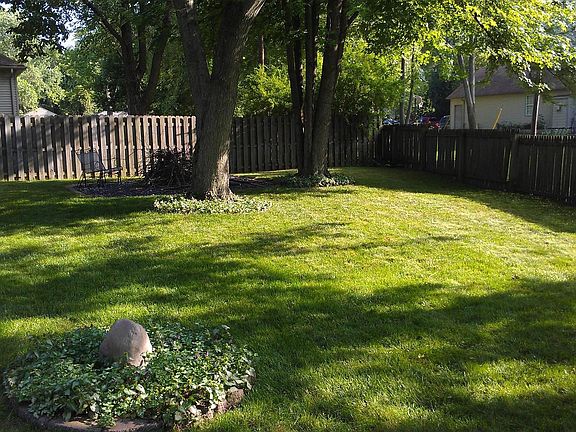 Back yard