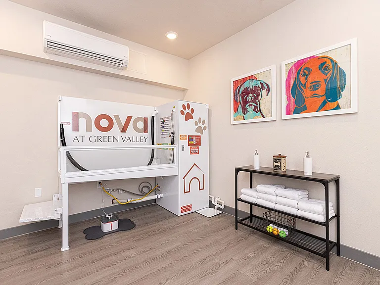 Nova at Green Valley Apartments — Photo 30