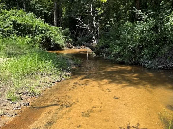 0 Brooksville Rd, Louisville, MS 39339