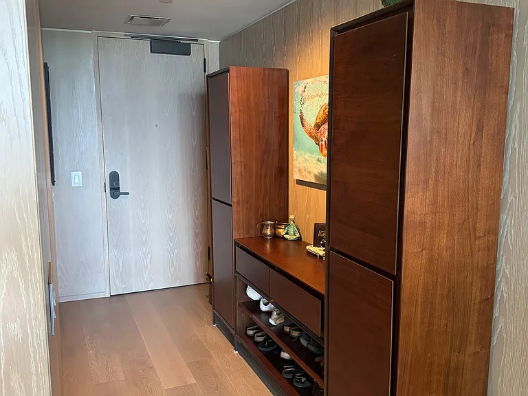 Hallway entrance with shoe and other storage