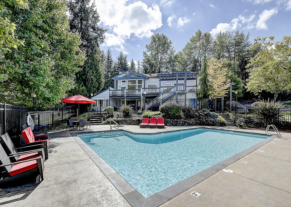 Sammamish View
