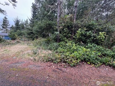0 R Street, Ocean Park, WA, 98640