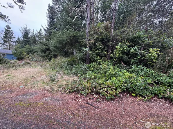 0 R Street, Ocean Park, WA 98640