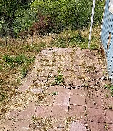 Back yard area