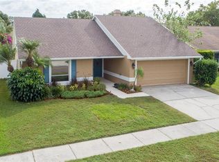 7113 Hollowell Dr, Tampa, FL 33634
