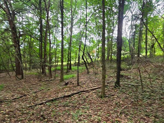5th image of 0 Ridge Rd SW