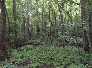 2905 Damascus Rd 20 Acres, Ball Ground, GA 30107
